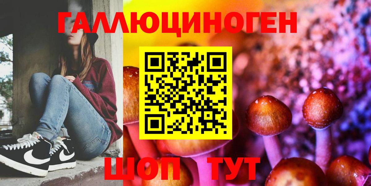 где продают наркотики  Галлюциногенные грибы прущие грибы  Вход с VPN  Карачаевск 